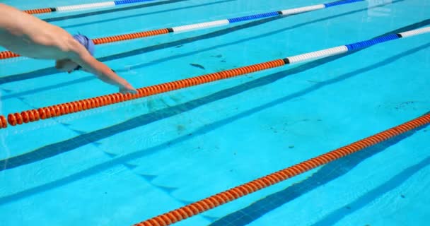 Nuotatore Maschio Che Salta Piscina Uomo Nuoto Subacqueo — Video Stock