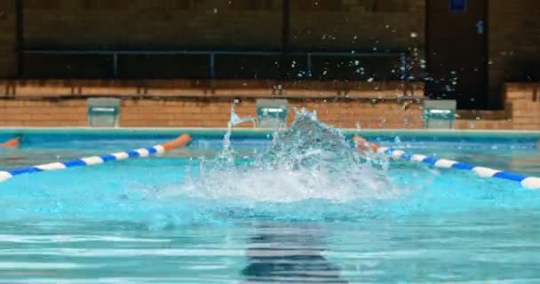 Schwimmer Schwimmt Becken Mann Schwimmt Unter Wasser — Stockvideo