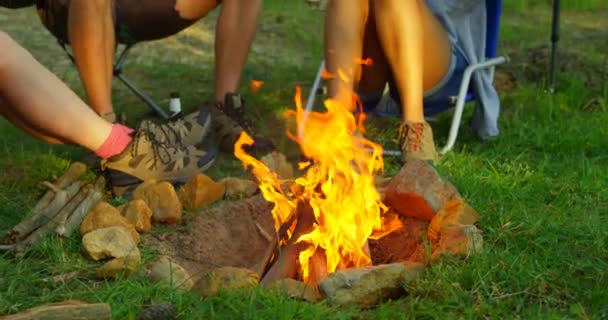 Arkadaşlar Eğlenmeye Şenlik Ateşi Yakınındaki Ormanda Arkadaşlar Birlikte Kamp — Stok video