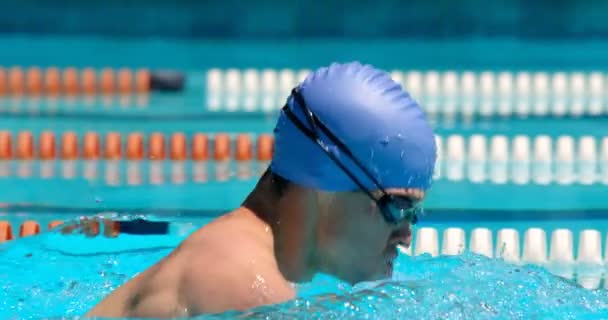 Nadador Masculino Nadando Dentro Piscina Homem Nadando Debaixo Água — Vídeo de Stock