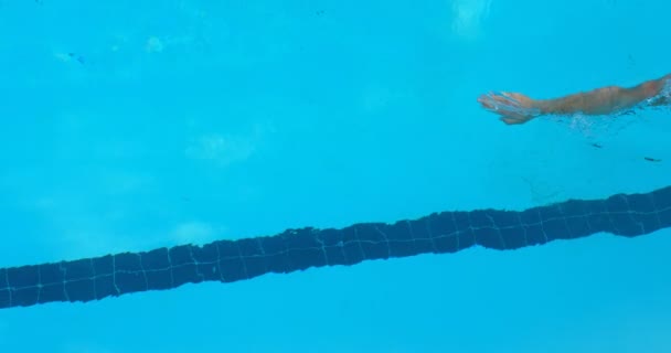 男子游泳运动员在泳池内游泳的高视角 男子游泳运动员练习自由泳4K — 图库视频影像
