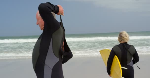 Kumsalda Wetsuit Giyen Eski Beyaz Komuta Sizde Sörf Tahtası Tutan — Stok video