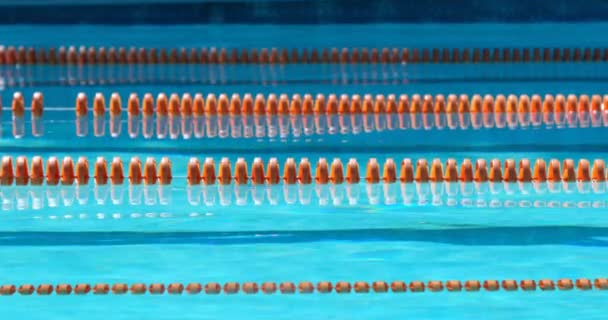 Körfält För Swimmingpool Konkurrens Tom Pool Med Lane Markör — Stockvideo