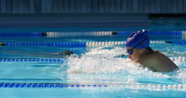 Homme Femme Nagent Ensemble Dans Piscine Nageur Pratiquant Brasse — Video