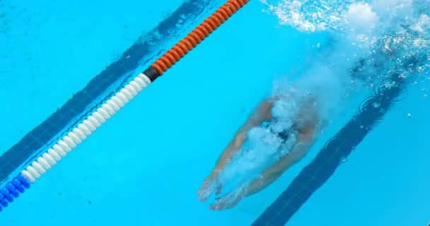 Mannelijke Zwemmer Springen Het Zwembad Man Zwemmen Onderwater — Stockvideo