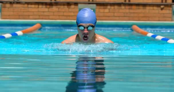 Mand Svømmer Svømning Inde Poolen Mand Svømning Vand – Stock-video