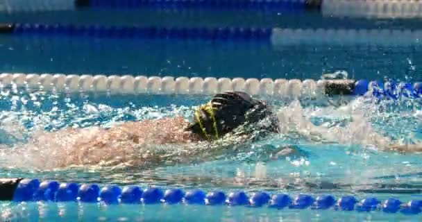 Joven Nadador Masculino Nadando Dentro Piscina Hombre Practicando Freestyle — Vídeos de Stock