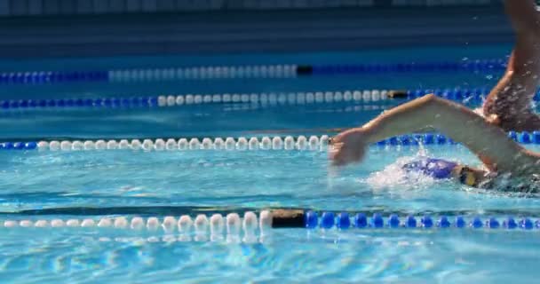 Bărbat Femeie Înotând Împreună Piscină Înotător Practicând Freestyle — Videoclip de stoc