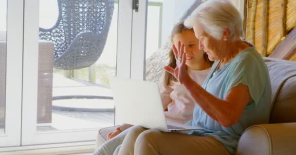 Sidovy Gamla Kaukasiska Mormor Och Barnbarn Använder Laptop Ett Bekvämt — Stockvideo