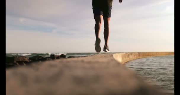 Bakifrån Unga Afroamerikanska Manliga Jogger Körs Stranden Han Jogging Pir — Stockvideo
