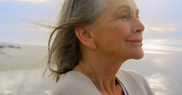 Boční Pohled Aktivní Senior Kavkazský Žena Stojící Pláži Při Pohledu — Stock video