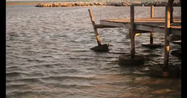 Front View Young African American Male Jogger Relaxing Pier Beach — Stock Video