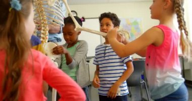 Okulda sınıfta iskelet modeli sabitleme çok etnik okul çocukların ön görünümü. Onların öğretmen 4k yardım ediyorlar