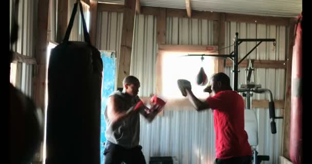 若いアフリカ系アメリカ人男性ボクサー ボクシング フィットネス スタジオでのトレーナーとの練習の側面図です 彼は練習をして手パンチ — ストック動画