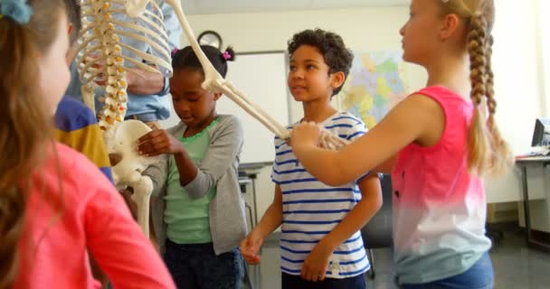 Okulda Sınıfta Iskelet Modeli Sabitleme Çok Etnik Okul Çocukların Görünümü — Stok video