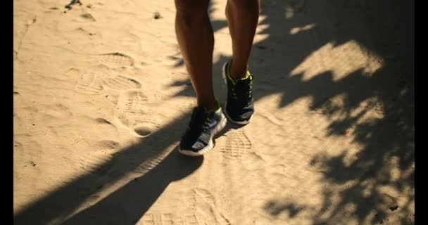Baixa Seção Jovens Afro Americanos Corredor Masculino Correndo Perto Praia — Vídeo de Stock