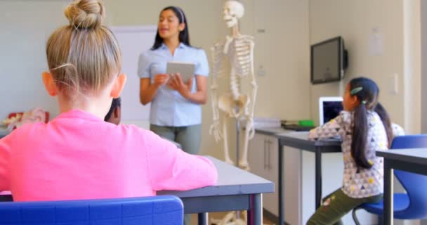 Vorderseite Einer Asiatischen Lehrerin Die Das Skelettmodell Klassenzimmer Erklärt Sie — Stockvideo