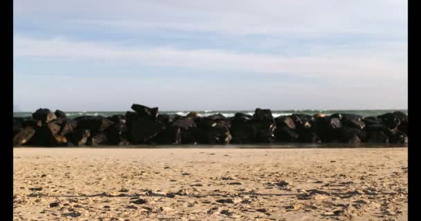 Frontansicht Eines Jungen Afrikanisch Amerikanischen Joggers Der Sich Strand Der — Stockvideo