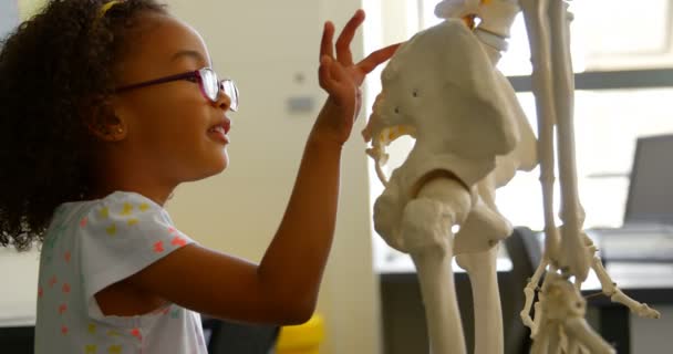 Vista Lateral Una Colegiala Afroamericana Aprendiendo Esqueleto Humano Aula Escuela — Vídeos de Stock