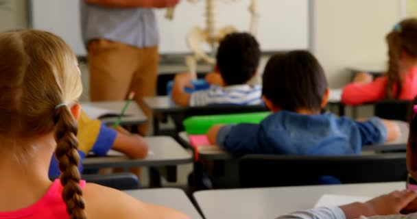 Vorderseite Eines Erwachsenen Kaukasischen Männlichen Lehrers Der Das Skelettmodell Klassenzimmer — Stockvideo