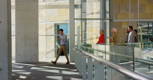 Vue Latérale Groupe Gens Affaires Multiethniques Marchant Dans Couloir Pour — Video