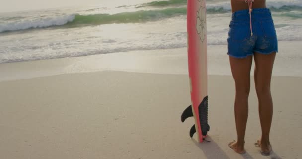 Задний Вид Афроамериканской Серфингистки Стоящей Доской Серфинга Пляже Смотрит Море — стоковое видео