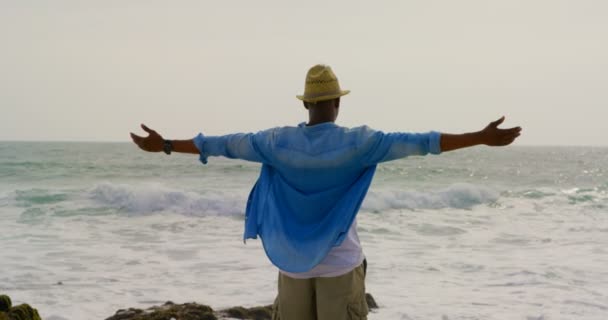 Вид Сзади Африканского Американца Стоящего Распростертыми Пляже Руками Смотрит Море — стоковое видео