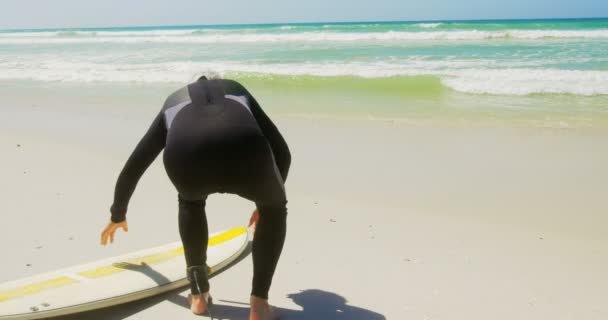 Widok Tyłu Aktywny Starszy Kaukaski Mężczyzna Surfer Relaksujące Plaży Słońcu — Wideo stockowe