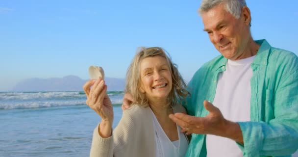 Front View Senior Caucasian Couple Holding Seashell Beach Interacting Each — Stock Video