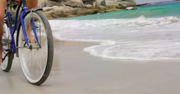 低矮的一部分人骑自行车在海滩上 海波在背景 — 图库视频影像