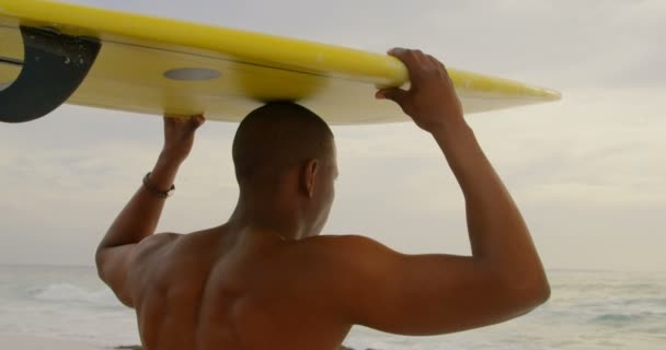 Rear View African American Male Surfer Carrying Surfboard His Head Royalty Free Stock Video
