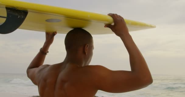 Rear view of African American male surfer carrying surfboard on his head at beach. He is walking on the beach 4k — Stock Footage Rear View African American Male Surfer Carrying Surfboard His Head Stock Video