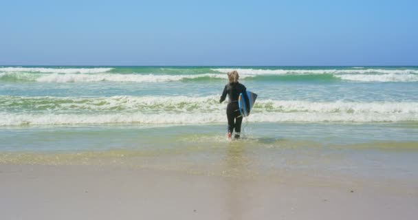 活跃高级白种女性冲浪者在阳光下在海上奔跑的后视图 她拿着冲浪板4K — 图库视频影像