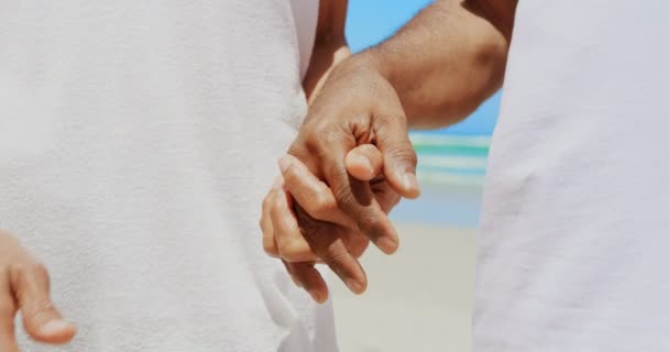 Средняя Секция Романтичной Активной Афроамериканской Пары Держащейся Руки Пляже Стоят — стоковое видео