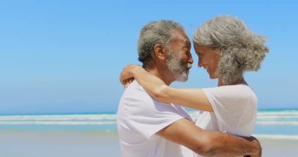 在海滩上快乐活跃的非洲裔美国老年夫妇互相拥抱的侧视图 他们正在互相交谈4K — 图库视频影像
