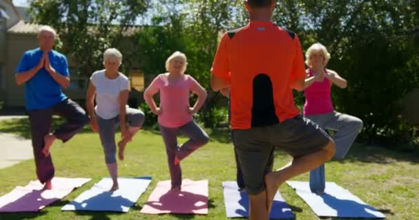 Bakifrån Kaukasiska Manliga Tränare Utbildning Seniora Människor Att Utföra Yoga — Stockvideo