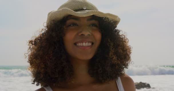 Vooraanzicht Van Afro Amerikaanse Vrouw Staande Het Strand Glimlacht Kijkt — Stockvideo