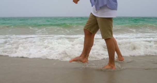 Χαμηλό Τμήμα Του Δύο Περπάτημα Χέρι Στο Χέρι Στην Παραλία — Αρχείο Βίντεο