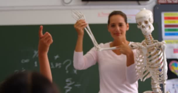 白种女教师在课堂上解释人体骨架模型的正面观点 小学生在教室里举手 — 图库视频影像