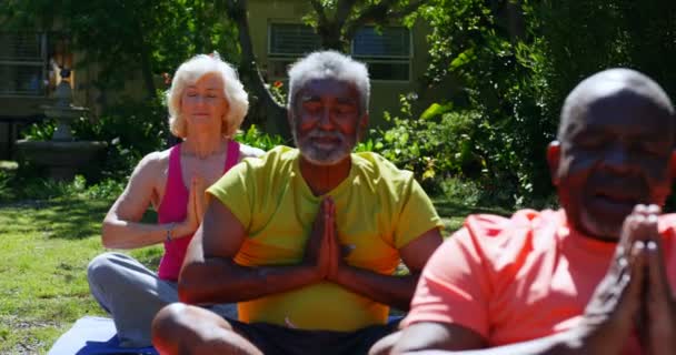Вид Спереди Активных Пожилых Людей Смешанной Расы Занимающихся Йогой Саду — стоковое видео