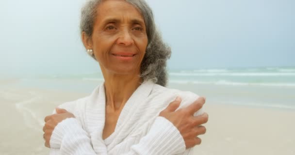 Vorderansicht Einer Nachdenklichen Aktiven Afrikanisch Amerikanischen Seniorin Die Strand Zittert — Stockvideo
