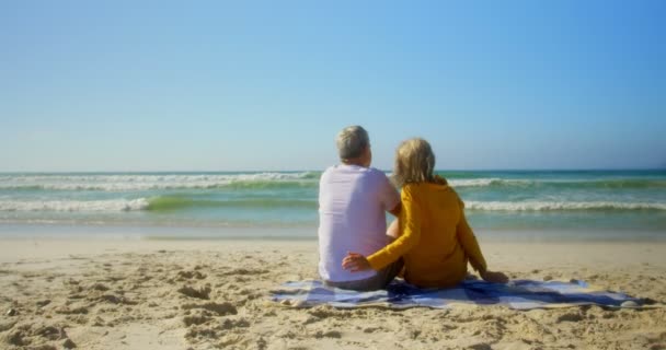 Achteraanzicht Van Actieve Senior Kaukasische Paar Ontspannen Het Strand Kijken — Stockvideo