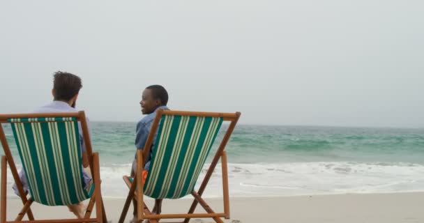 情侣在海滩的太阳躺椅上放松的后视图 他们正在相互交互 — 图库视频影像