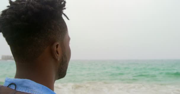 Πίσω Όψη Του Αφρικανικού Αμερικανού Που Στέκεται Στην Παραλία Κοιτάζει — Αρχείο Βίντεο