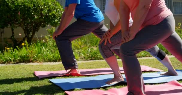 요양원에서 운동을 노인들의 낮습니다 운동을 있습니다 입니다 — 비디오