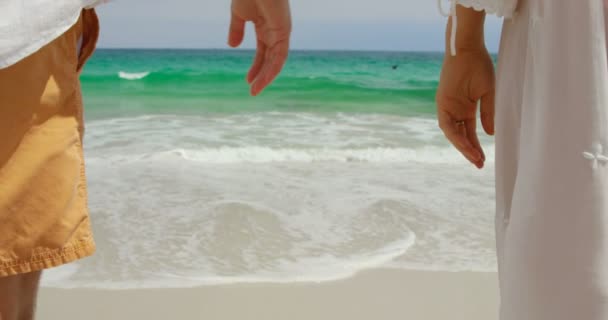 Средняя Часть Пары Идущей Рука Руку Пляже Проводят Время Вместе — стоковое видео
