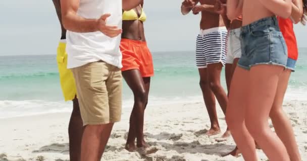 Группа Друзей Смешанной Расы Танцуют Вместе Пляже Развлекаются — стоковое видео