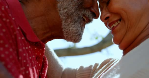 这对活跃的非洲裔美国老年夫妇面对面地站在疗养院花园的特写 他们笑了四千块 — 图库视频影像