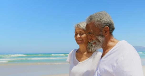 Seitenansicht Von Glücklichen Aktiven Senioren Afrikanisch Amerikanisches Paar Das Strand — Stockvideo
