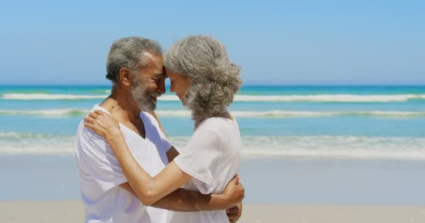 Vista Lateral Feliz Activa Pareja Afroamericana Senior Abrazándose Playa Ellos — Vídeos de Stock